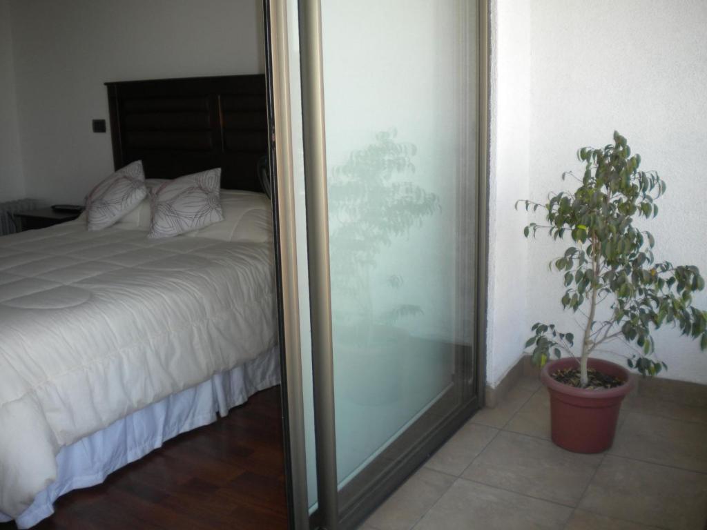 Barcelo Suites Providencia I Santiago de Chile Pokoj fotografie